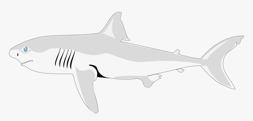 Shark Clipart Black Background, HD Png Download, Free Download