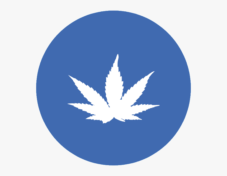 Transparent Medical Marijuana Png - Cro Rock, Png Download, Free Download