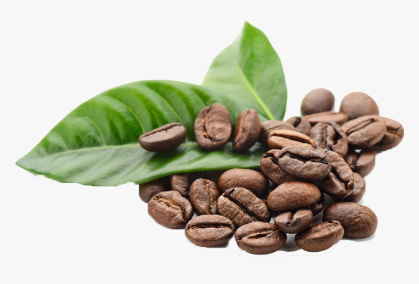 Coffee Beans Png Hd Images - Roasted Coffee Bean Png, Transparent Png, Free Download