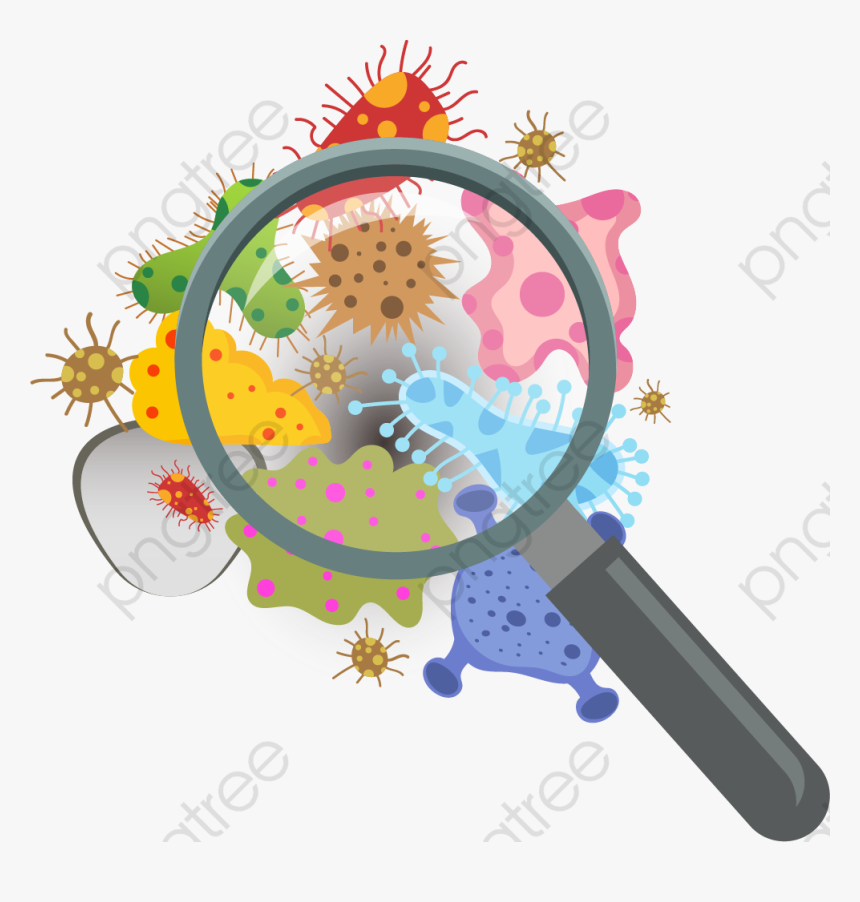 Aggregation Of Fungus Flora - Imagenes De Bacterias Png, Transparent Png, Free Download