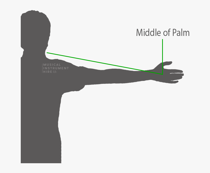 Violin Measurement - What Size - Silhouette, HD Png Download, Free Download