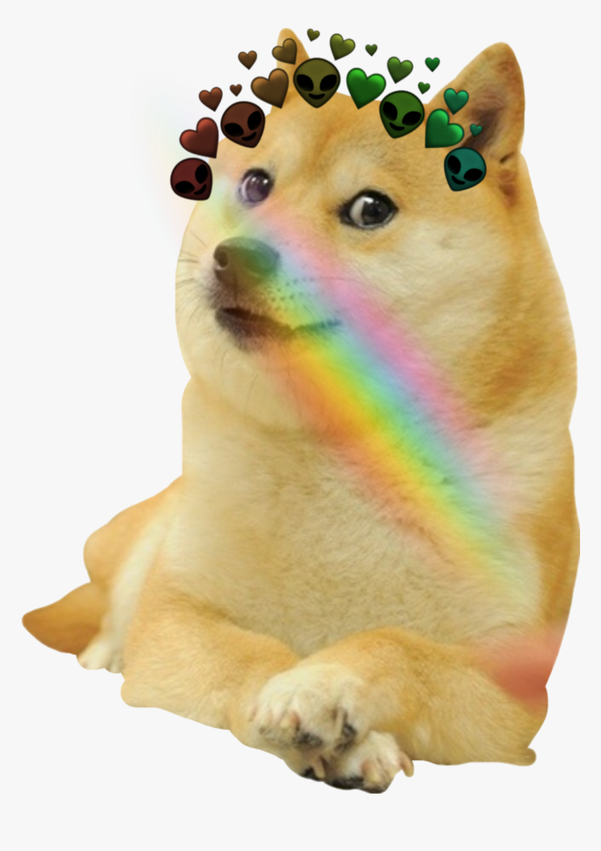 #doge #mlg #meme - Doge Meme Transparent, HD Png Download, Free Download