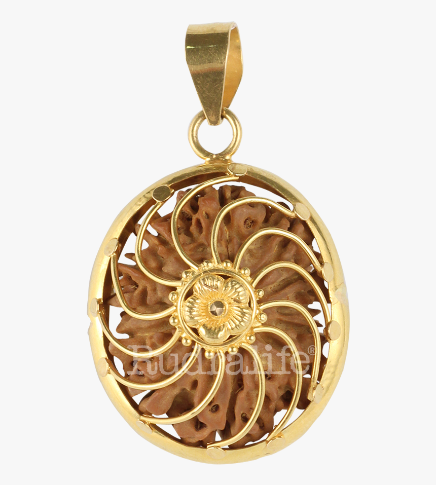 Surya Power Rudraksha Pendant Rudraksha - 14 Face Rudraksha Pendant, HD Png Download, Free Download