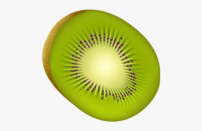 Kiwi Fruit Png Image Free Download Searchpng - Kiwifruit, Transparent Png, Free Download