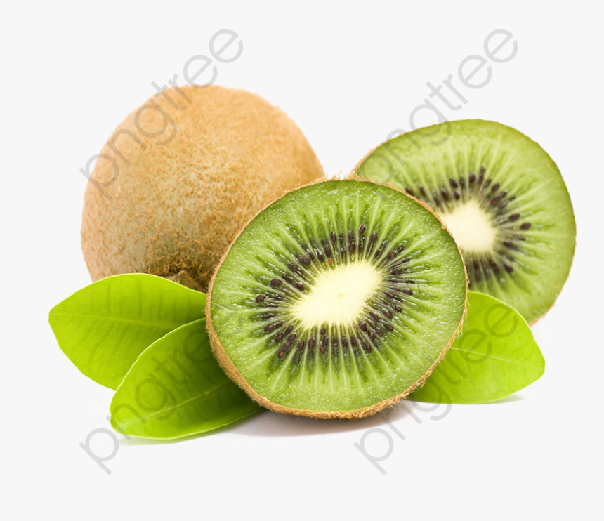 Kiwi Clipart High Resolution - Ківі Картинка Для Дітей, HD Png Download, Free Download