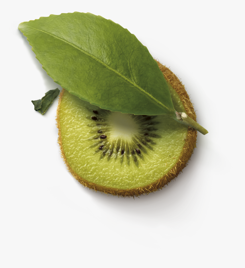 Kiwifruit, HD Png Download, Free Download