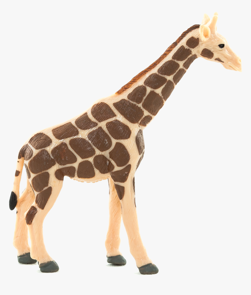 Translucent Background Giraffe, HD Png Download, Free Download