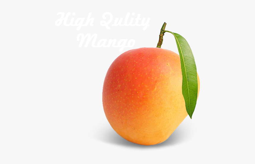 Alphonso Mango - Seedless Fruit, HD Png Download, Free Download