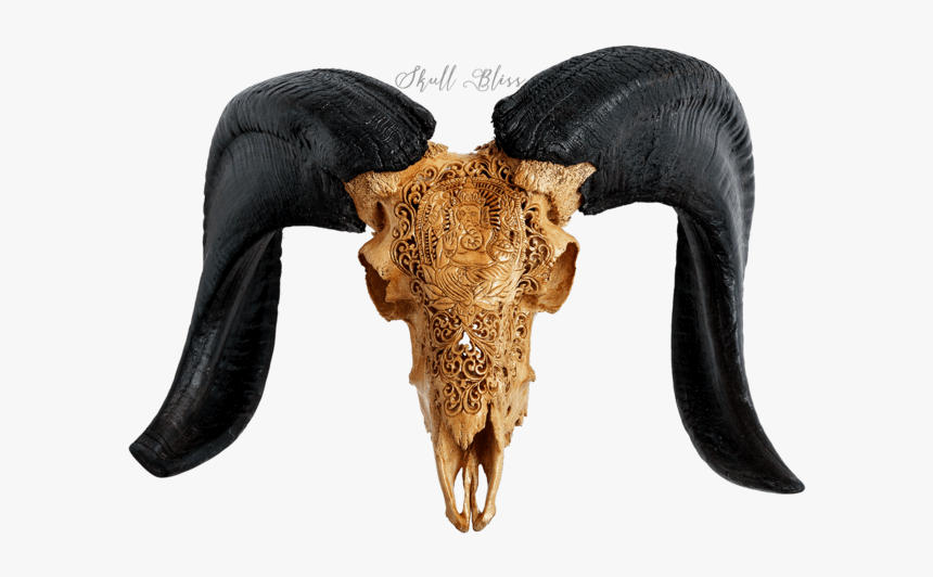 Carved Ram Skull - Horn, HD Png Download, Free Download