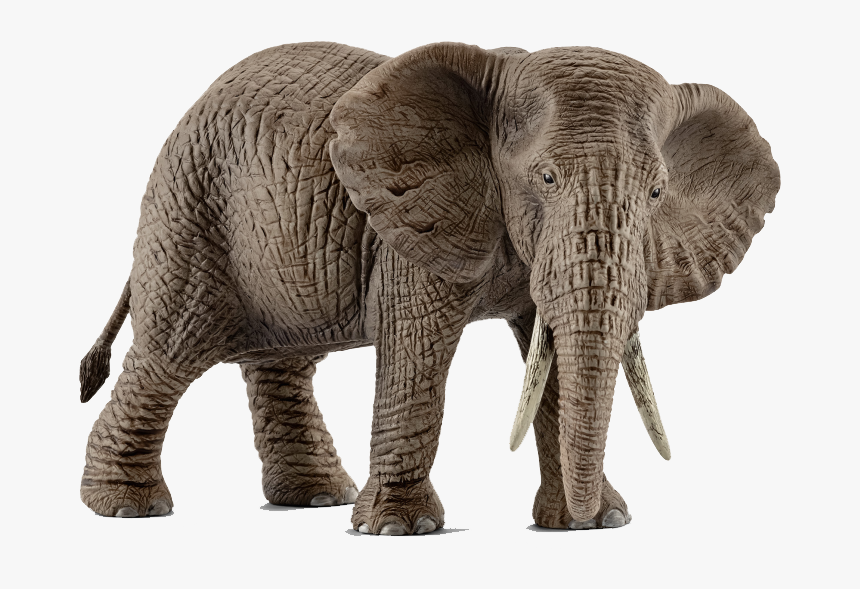 Elephants Png Pic - Schleich Animals, Transparent Png, Free Download