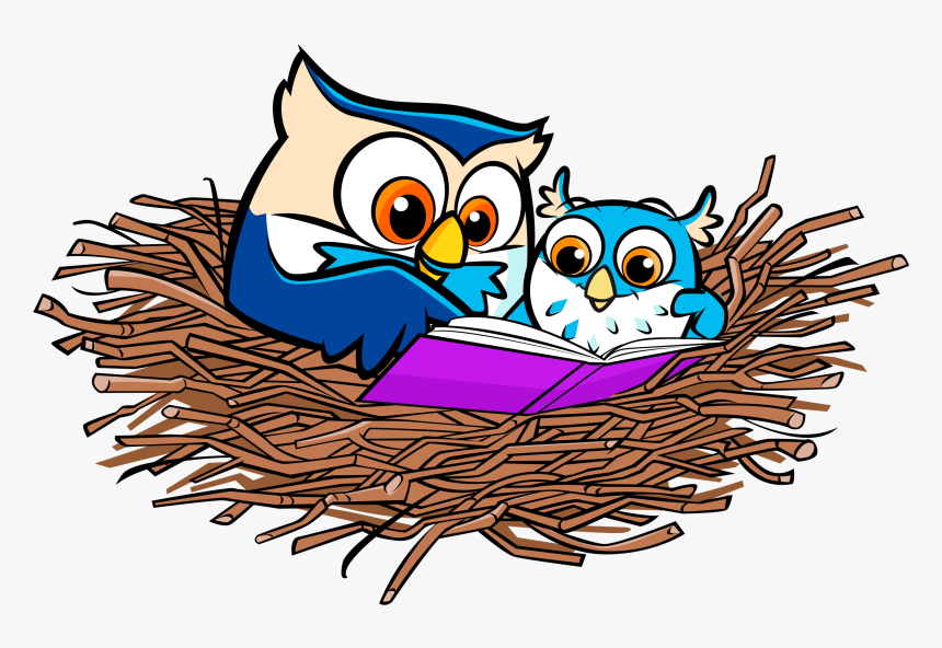 Nest Clipart Nest Outline - Owl In Nest Clip Art, HD Png Download, Free Download