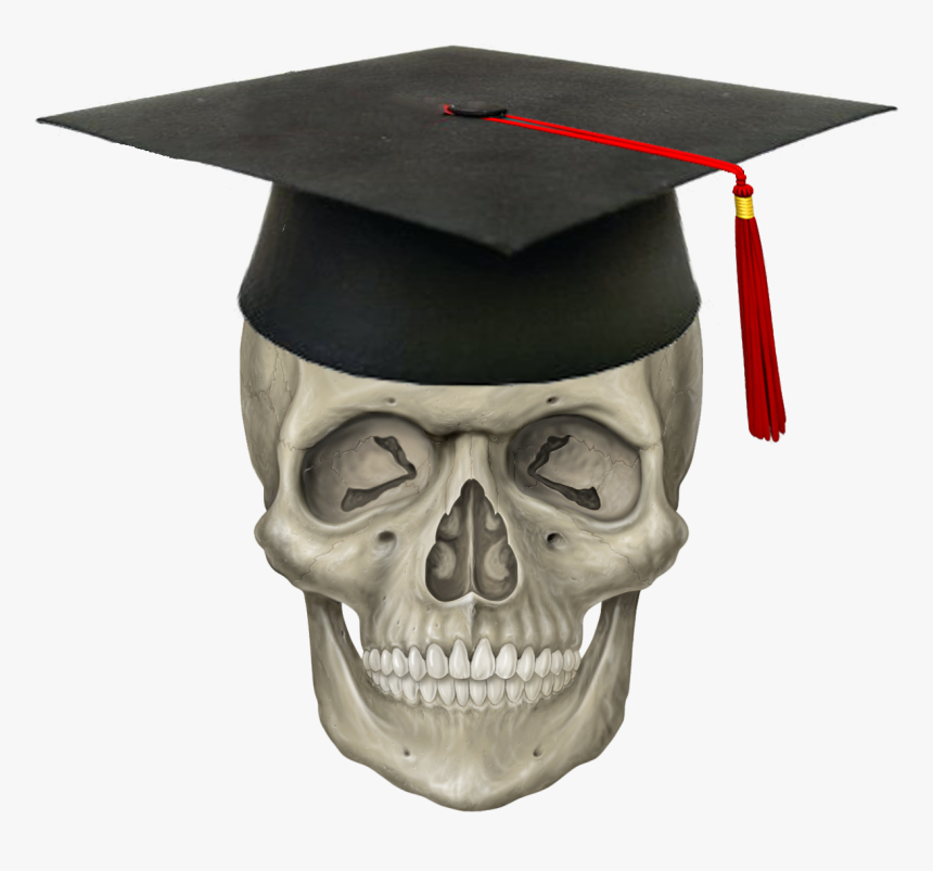 Skeleton Head No Background, HD Png Download, Free Download