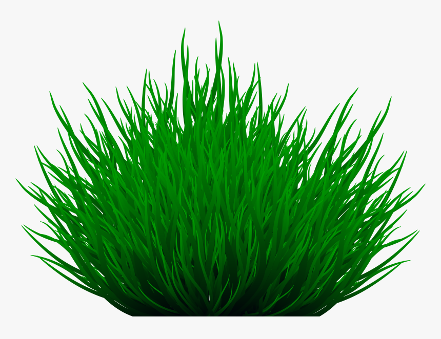 Path Clipart Grass Path - Herbaceous Plant, HD Png Download, Free Download