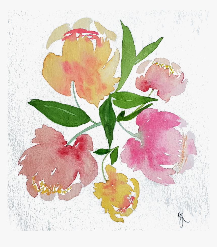 Watercolor Peonies Png, Transparent Png - kindpng