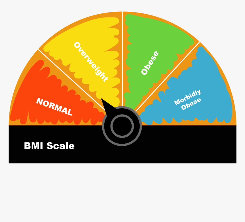 Body Mass Index Png, Transparent Png, Free Download