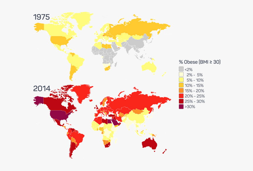 Obesity - World Map, HD Png Download, Free Download