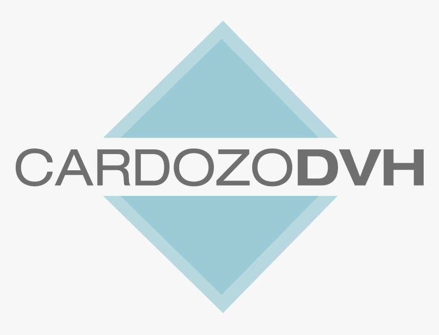 Dvh Cardozo - Camtasia Studio, HD Png Download, Free Download