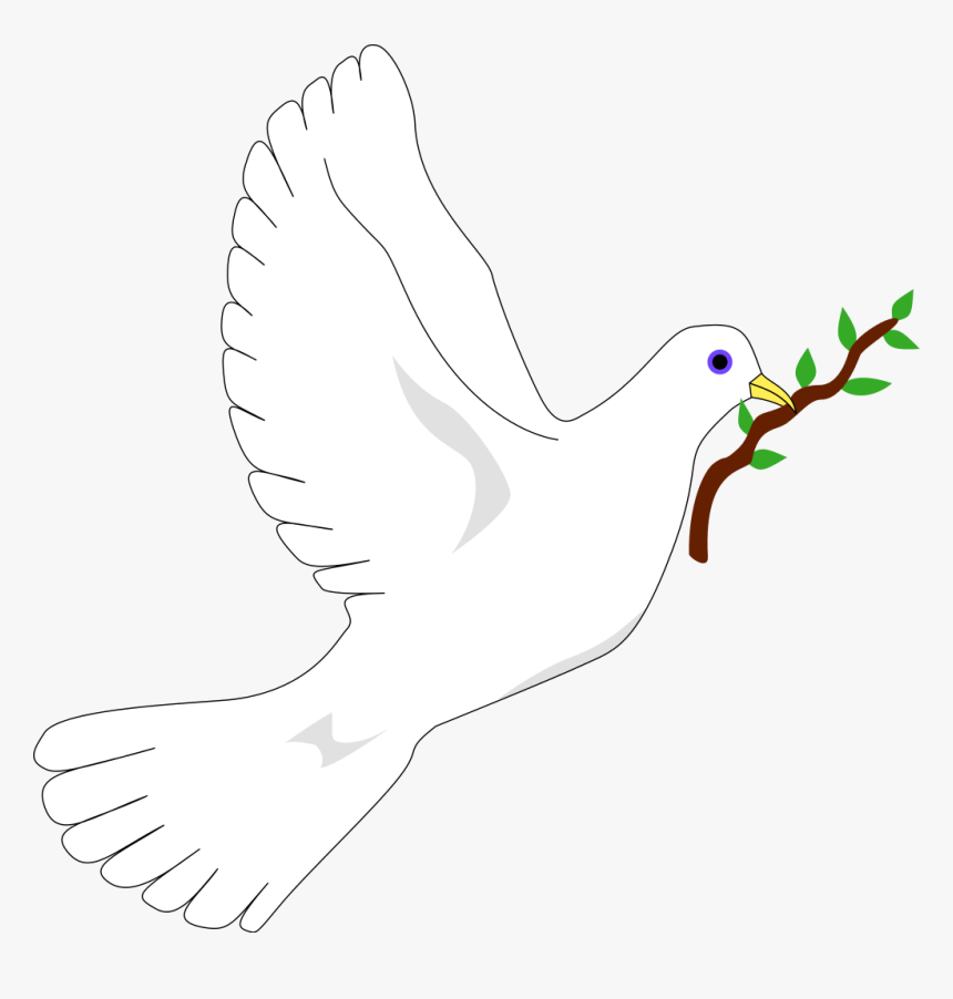 Peace Dove Png, Transparent Png, Free Download