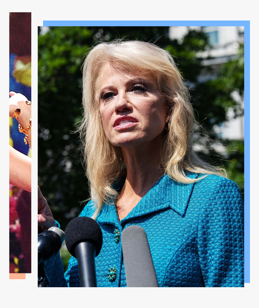 Taylor Swift And Kellyanne Conway - Conway What's Your Ethnicity Meme, HD Png Download, Free Download