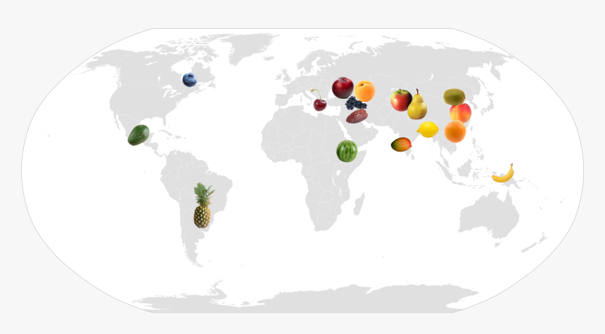 Origin Of Fruit Map, HD Png Download, Free Download