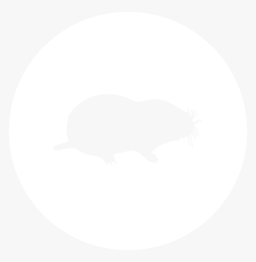 Moles , Png Download - Mole Silhouette, Transparent Png, Free Download