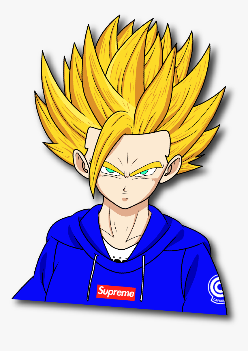 Hype Ssj2 Gohan - Ssj2 Gohan Grown Up, HD Png Download - kindpng