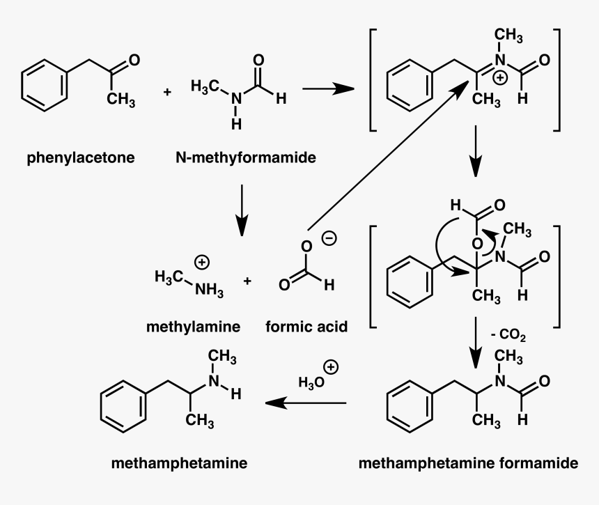 Methamphetamine Leuckart Synthesis - H Hn Ch3 Ch3, HD Png Download, Free Download