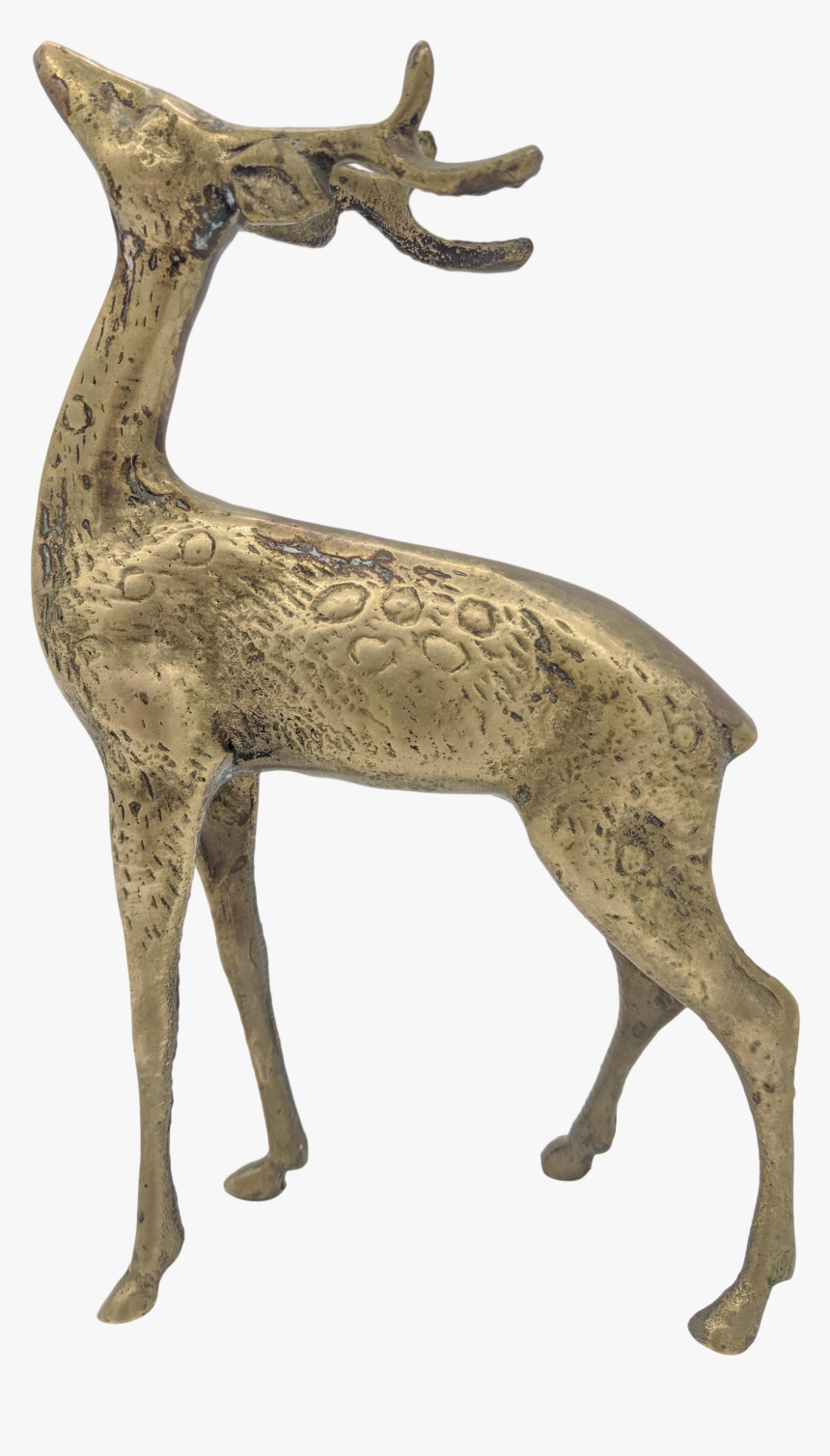 White-tailed Deer, HD Png Download, Free Download