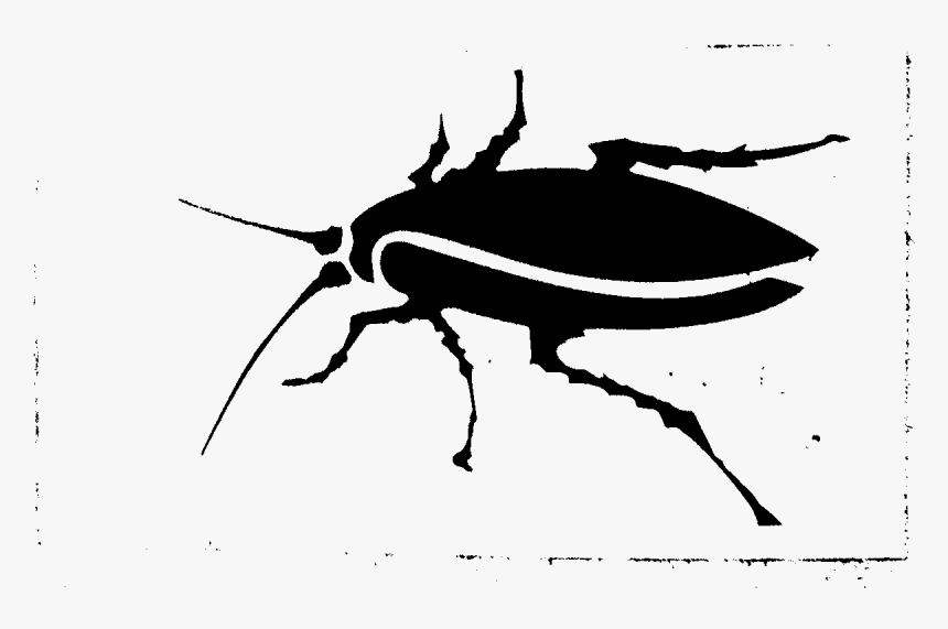 Weevil, HD Png Download, Free Download