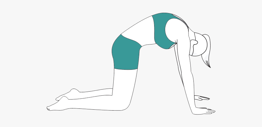 Yoga For Back Pain - Illustration, HD Png Download, Free Download