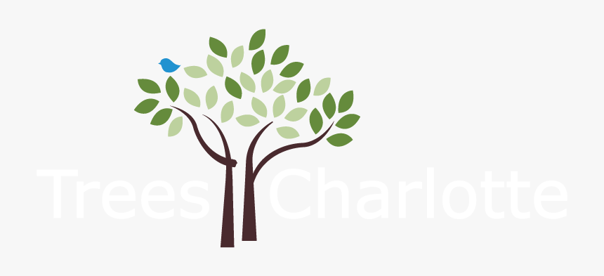 Treescharlottelogo-white 2b - Plant Tree Logo Png, Transparent Png, Free Download