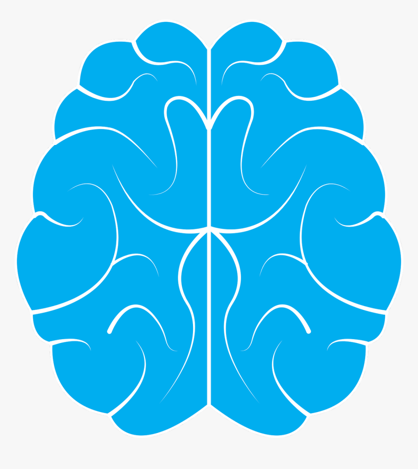 Brain, Icon, Human, Background, Idea, Symbol, Design - Brain Icon Transparent Background, HD Png Download, Free Download