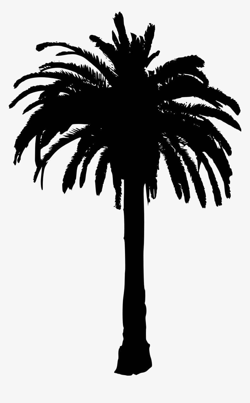 Clip Art Tree Png Free Images - Date Palm Tree Silhouette, Transparent Png, Free Download