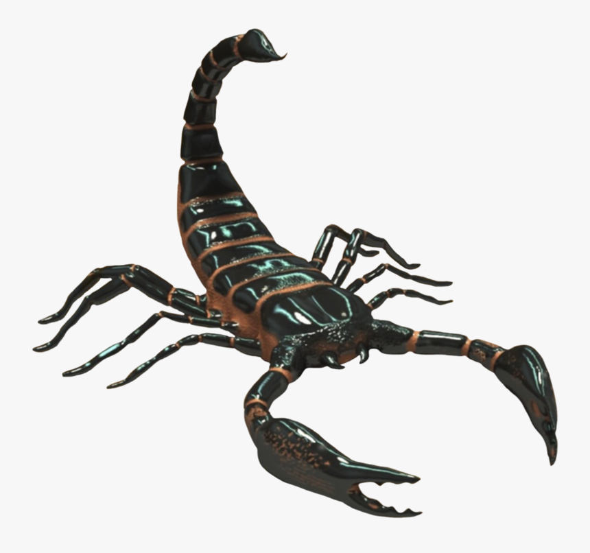 Scorpio Png Photo - Scorpion Png, Transparent Png, Free Download