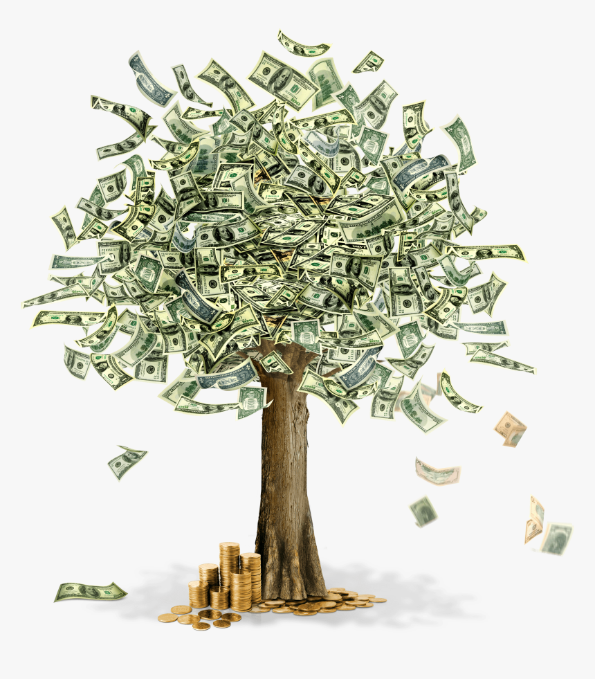 Money Tree - Money Tree With Dollars, HD Png Download, Free Download