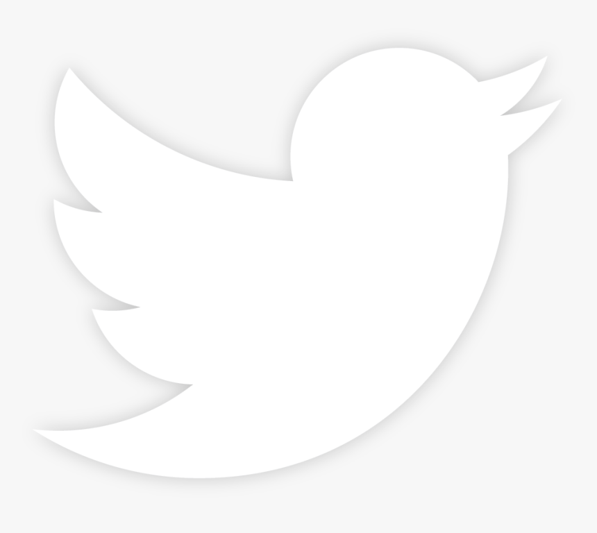 Logo png white. Белый логотип твиттера. Значок Твиттер белый. Иконка Твиттер на белом фоне. Белая иконка твиттера на прозрачном фоне.