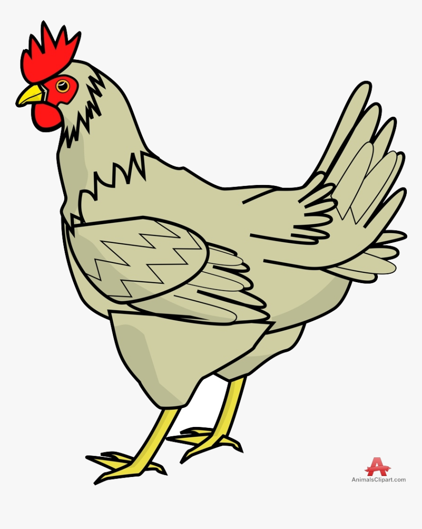 Chicken Clipart Design Free On Transparent Png - Chicken Clipart, Png Download, Free Download