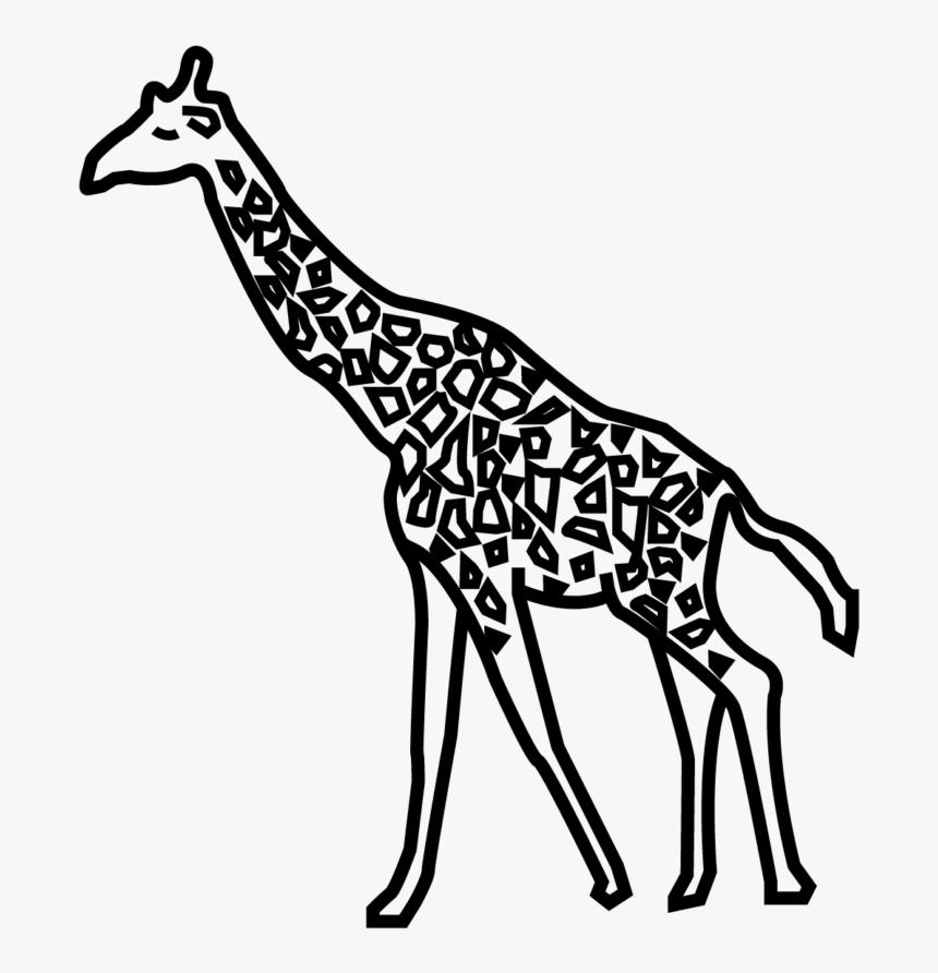 Giraffe, HD Png Download, Free Download