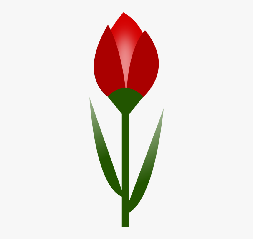 Plant,flower,petal - Gumamela Bud Clipart, HD Png Download, Free Download