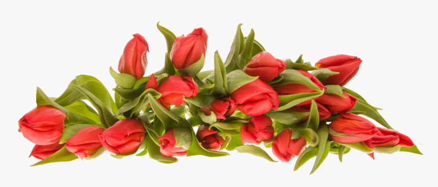 Bouquet Flower Images Png, Transparent Png, Free Download