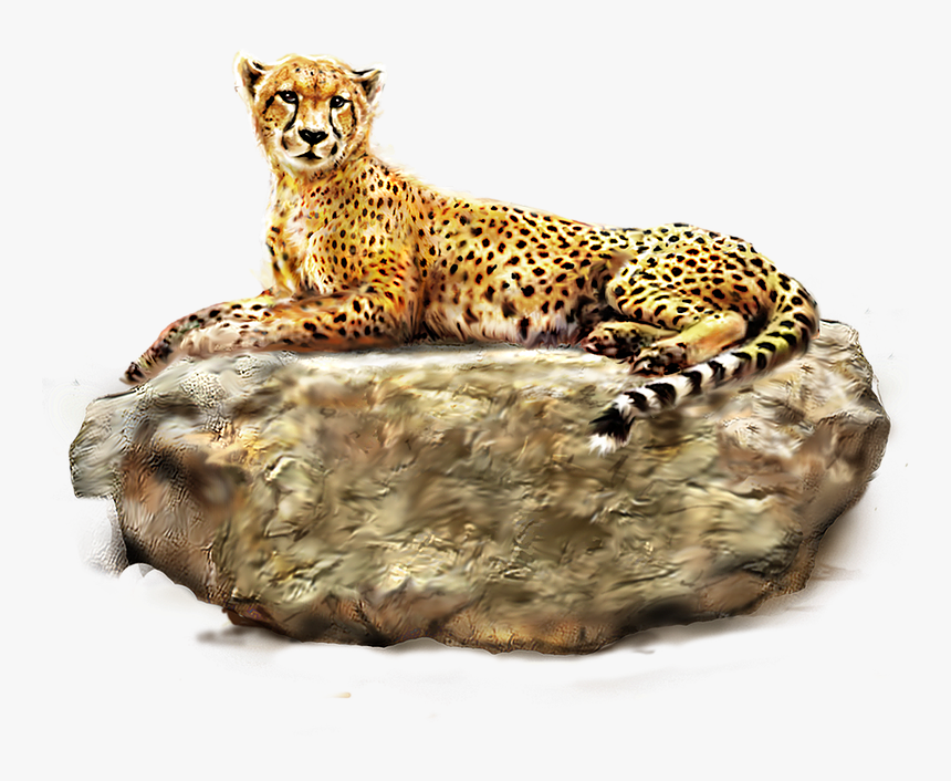 Transparent Background Cheetah Png, Png Download, Free Download