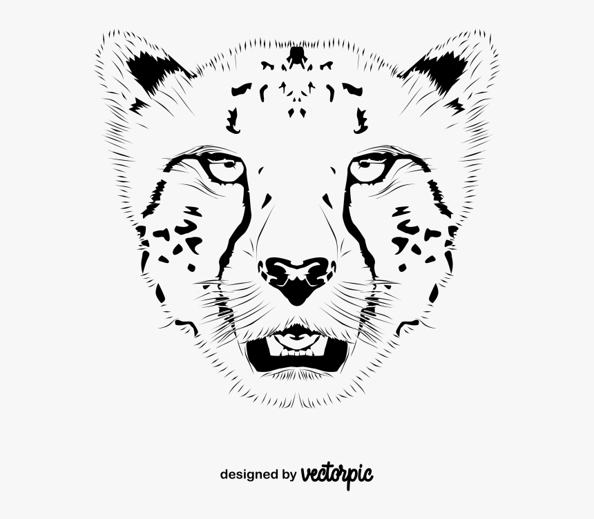 Lion, HD Png Download, Free Download