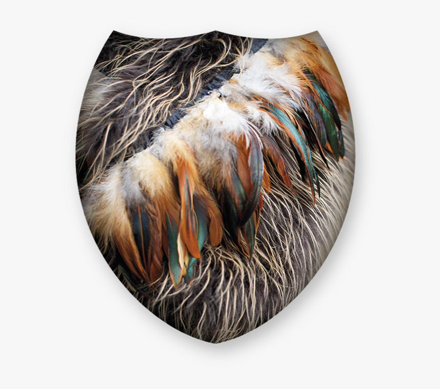 Feather Cloak Maori, HD Png Download, Free Download