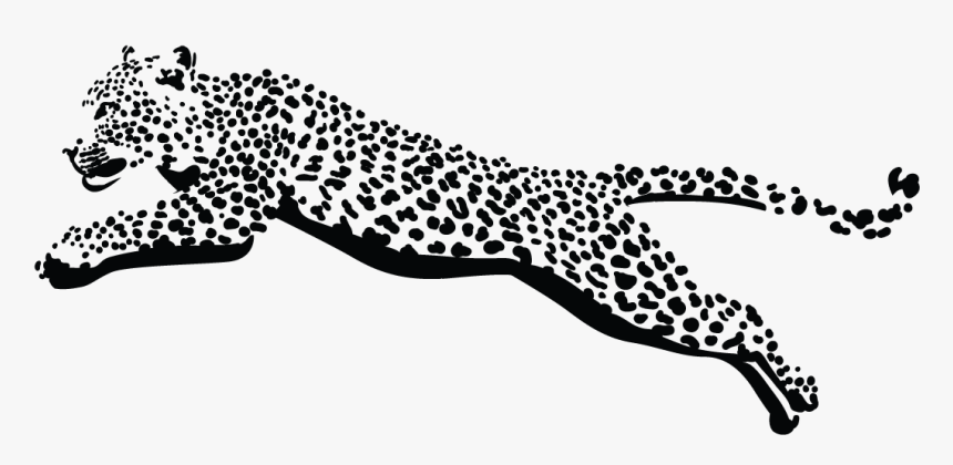 Cheetah, HD Png Download, Free Download