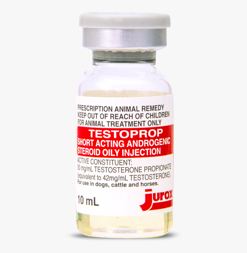 Testoprop Product Image - Testosterone Injection For Horses, HD Png Download, Free Download