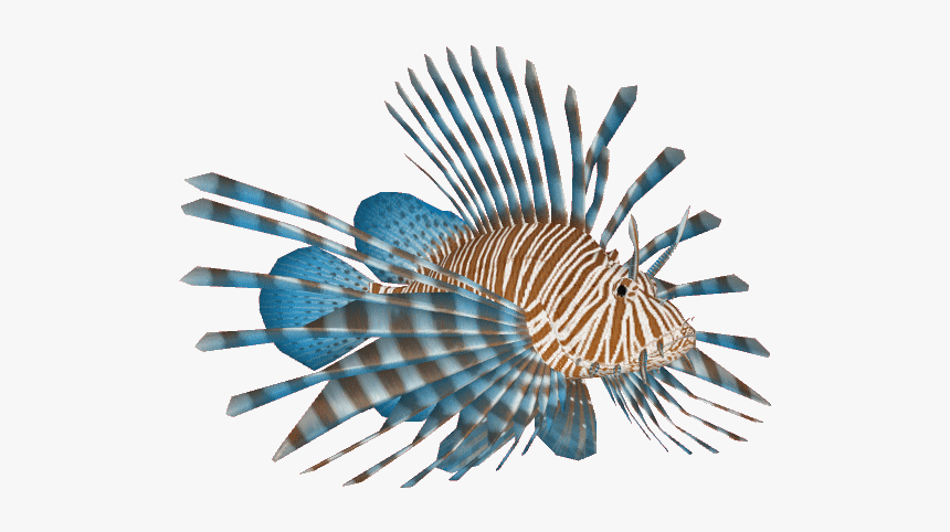 Thumb Image - Lionfish Transparent, HD Png Download, Free Download