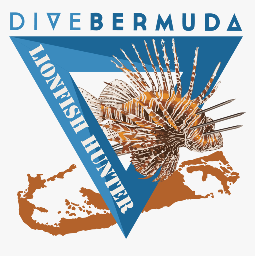 Learn To Hunt Lionfish Bermuda Dive Bermuda Grotto - Poster, HD Png Download, Free Download