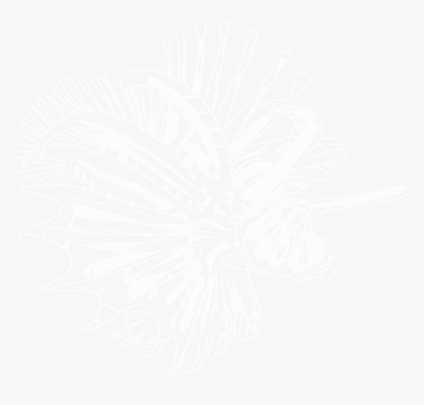 Input Lionfish , Png Download - Illustration, Transparent Png, Free Download