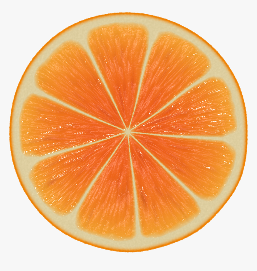 Orange Slices Png - Nature Patterns In Mathematics, Transparent Png, Free Download