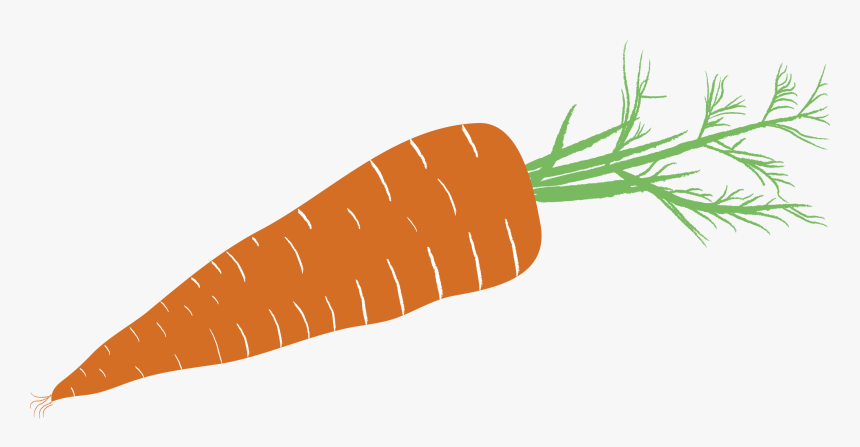 Carrot, HD Png Download, Free Download